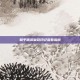和平精英皇冠印记查看指南