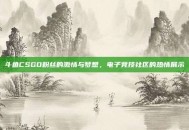 斗鱼CSGO粉丝的激情与梦想，电子竞技社区的热情展示