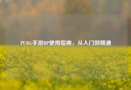 PUBG手游BP使用指南，从入门到精通