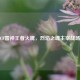 CF雷神王者火魄，烈焰之魂主宰战场