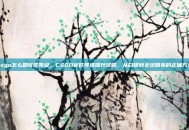 csgo怎么刷官匹等级，CSGO官匹等级提升攻略，从白银到全球精英的正确方式
