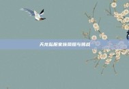 天龙私服家族荣耀与挑战