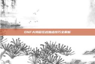 DNF大转移狂战加点技巧全解析