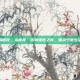 治瘙痒，治瘙痒，告别难言之痒，重获宁静生活