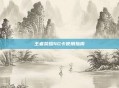 王者荣耀4G卡使用指南