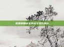 流星蝴蝶剑全屏战斗技巧展示