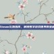 Steam礼物指南，解锁数字游戏世界的宝藏