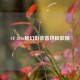 CF 2016刷幻影装备终极教程