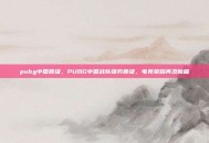 pubg中国晋级，PUBG中国战队强势晋级，电竞荣耀再添新篇