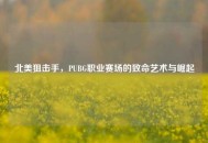 北美狙击手，PUBG职业赛场的致命艺术与崛起