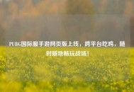 PUBG国际服手游网页版上线，跨平台吃鸡，随时随地畅玩战场！