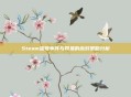 Steam盗号事件与网易的应对策略分析