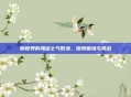 新世界的海盗士气低落,探索困境与挑战