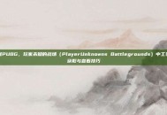 掌握PUBG，玩家未知的战场（PlayerUnknowns Battlegrounds）中工资杯获取与查看技巧