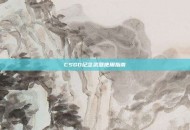 CSGO纪念武器使用指南