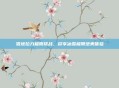 雪地拉力极限挑战，尽享冰雪极限绝美体验