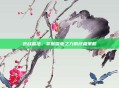 逆战雷法,掌握雷电之力的终极策略