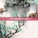 DNF女枪角色名字大汇总