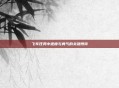 飞车任务中速度与勇气的关键博弈