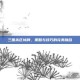 三国杀区域牌，策略与技巧的完美融合