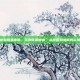 如何缓解膝盖疼痛，告别膝盖疼痛，从原因到缓解的实用指南