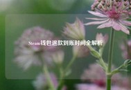 Steam钱包退款到账时间全解析