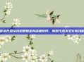 传承升级从浅层复制走向深度协同,新时代激发文化新动能