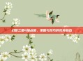 幻想三国4加点图，策略与技巧的完美融合