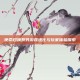 使命召唤系列游戏进化与玩家体验探索