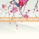三国杀纸盒DIY，重现历史风云，创造个性化卡牌