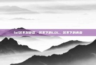 lol装不到硬盘，装不下的LOL，装不下的青春