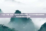 csgo 中国 贴纸，贴在枪上的东方图腾，CS:GO中国贴纸如何成为游戏世界的文化符号