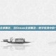 steam全部黑色，当Steam全部黑色—数字荒漠中的一瞬永恒