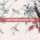 三国杀中刘备原画特效的魅力解析