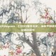 csgo指令daquan，CSGO指令大全，从新手到高手的必备控制台命令