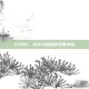 PUBG，生存与胜利的双重考验
