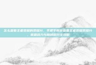 怎么查看王者荣耀的荣耀分，手把手教你查看王者荣耀荣耀分，英雄战力与巅峰积分全攻略