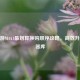 CF手游M4A1最划算换购顺序攻略，高效升级武器库