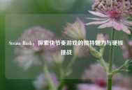 Steam Rush，探索快节奏游戏的独特魅力与硬核挑战