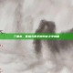 三国杀，曹植与曹丕的判定之争揭秘