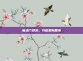 魔法门对决,开启崭新篇章