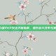 80级PVP火法天赋指南，提升战斗效率与策略