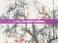 CSGO B区突破技巧与策略解析