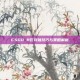CSGO B区突破技巧与策略解析