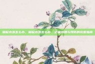 脚起水泡怎么办，脚起水泡怎么办，正确处理与预防的完整指南