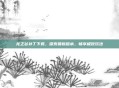 龙之谷补丁下载，探索最新版本，畅享极致玩法