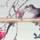 Steam土耳其购物指南，全球时尚的宝地探索