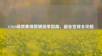 CSGO高燃集锦剪辑接单指南，副业变现全攻略