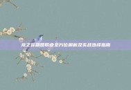 龙之谷刷图职业全方位解析及实战选择指南
