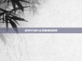 剑灵45级力士技能加点指南